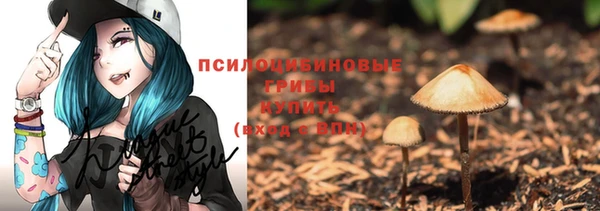 стаф Снежногорск