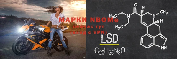 стаф Снежногорск