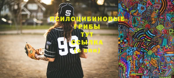 mdpv Богданович