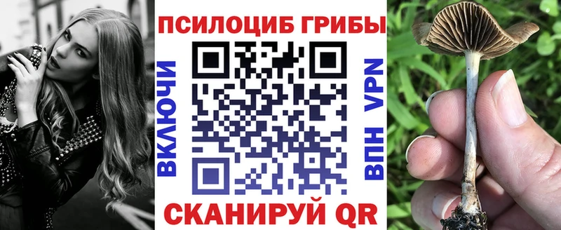 Галлюциногенные грибы Psilocybine cubensis  продажа наркотиков  Нюрба 