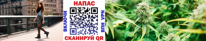 Канабис Bruce Banner Нюрба